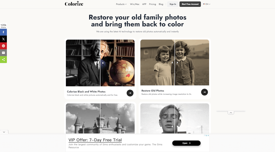 Imagecolorizer